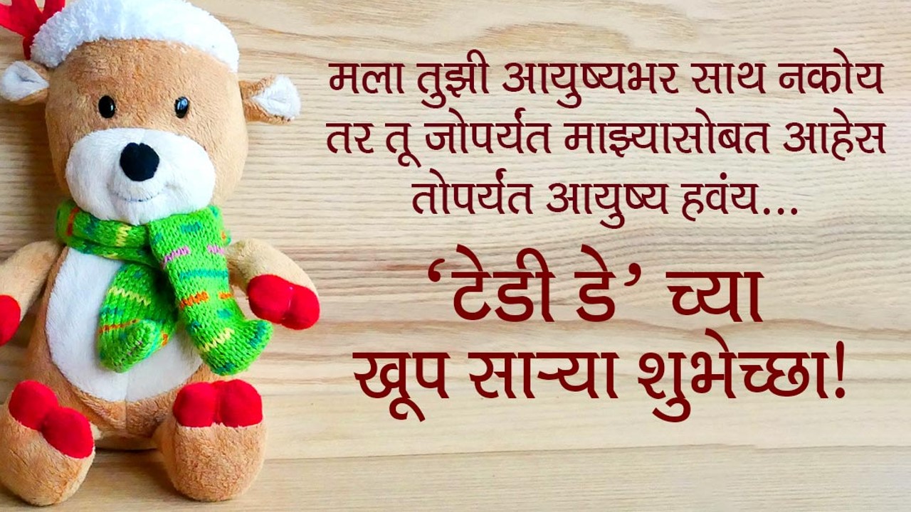 Teddy Bear Translation In Marathi